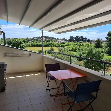 Apartament Robi *