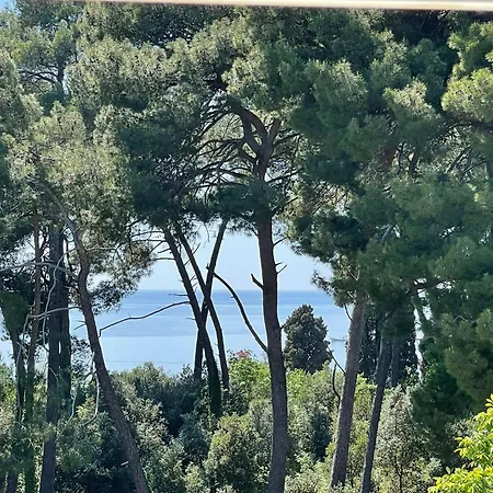 Apartament Robi *